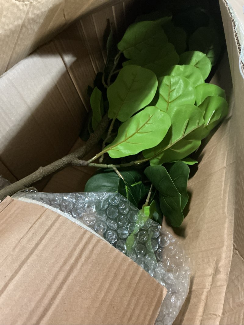 Condition photo showing Good Condition for 7FT Fiddle Leaf Fig Artificial Tree with White Planter, Faux Ficus Trees Indoor and Outdoor Fake Plants for Home Office Decor, I-Fig-7ft-white