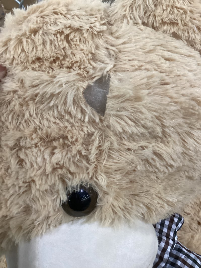 Condition photo showing As Is for Teddy bear *damaged*