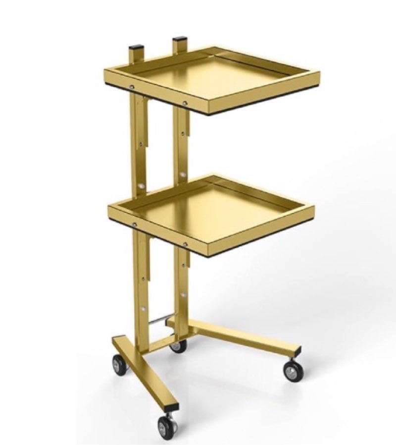 2 Tier Beauty Trolley Cart Salon Tray On Wheels Stainless Steel Salon Rolling Cart Foldable Salon Service Tray for Easy Storage