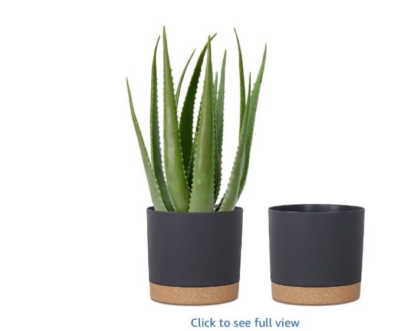 kubvici Plant Pots for Indoor Plants, 2 Pack 10 Inch Plant Pot Plastic Flower Pots Planters with Dra