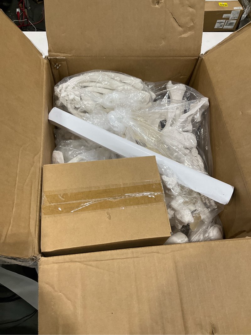 Condition photo showing Good Condition for Disarticulated Human Skeleton Model for Anatomy, Full Size 67'' Skeleton with 200+ Bones Structures 3 Poster Skull Spine Bones Articulated Hand & Foot, for Anatomy Medical Learning