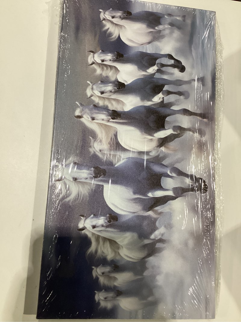 Condition photo showing New/Like New for White Running Horse Print Painting on Canvas Modern Blue Wall Art Animal Picture Artwork for Living Room Bedroom Decor, SIMILAR TO STOCK PHOTO 