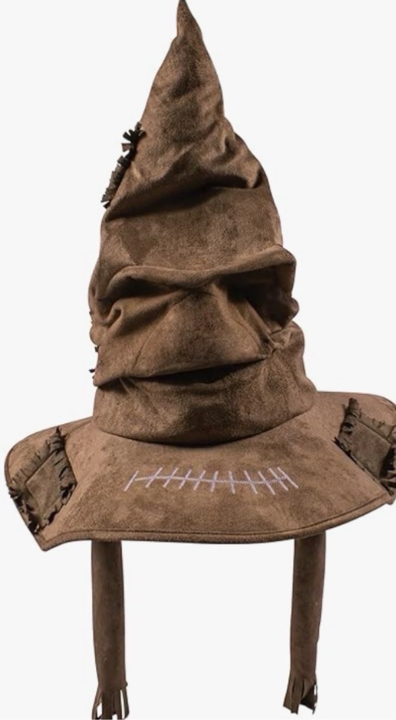 wizarding world harry potter, talking sorting hat with 15 phrases for pretend play, kids toys, acces
