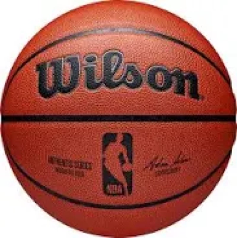 WILSON NBA Authentic Series Basketball - Outdoor, Size 5 - 27.5"