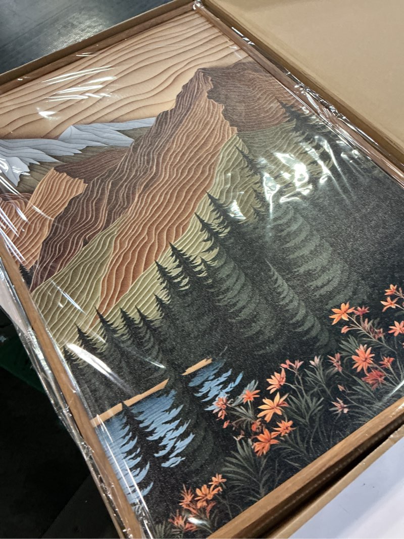Condition photo showing New/Like New for chditb mountain frame canvas wall art, nature themed office wall decor, country scenic art spiritual wall painting, vintage national park mountains forest art prints for living room, bedroom 16"x24"x3 mountain a 16"l x 24"w