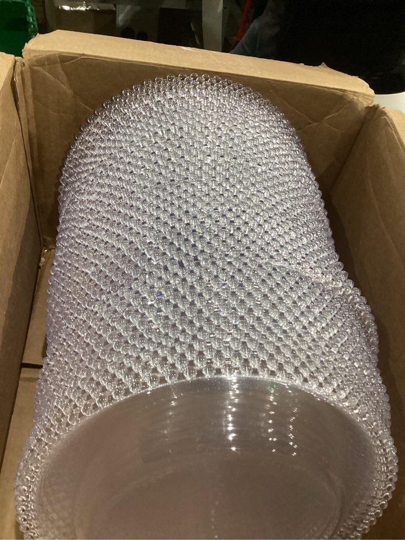 Clear plastic plates 