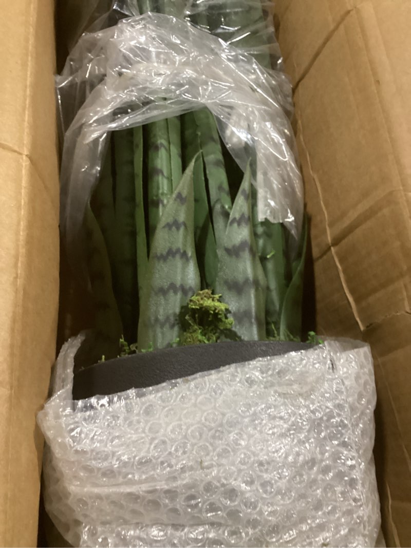 Condition photo showing Good Condition for (similar snake plant) haihong 6ft artificial palm tree,faux areca palm plant with real touch leaves and adjustable branches,fake tropical palm tree for home office indoor outdoor modern decoration 6ft-1pack areca palm plant