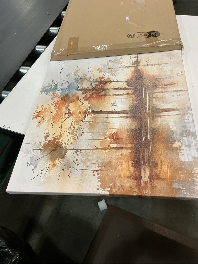 Condition photo showing Good Condition for Lapremoly Large Wall Decor For Living Room Framed Wall Art for Bedroom Abstract Tree Painting Wall Artworks Hang Pictures For Office Decoration Canvas Prints Room Home Decorations Posters 20"X40" 20x40inches Abstract Tree Landscape Painting