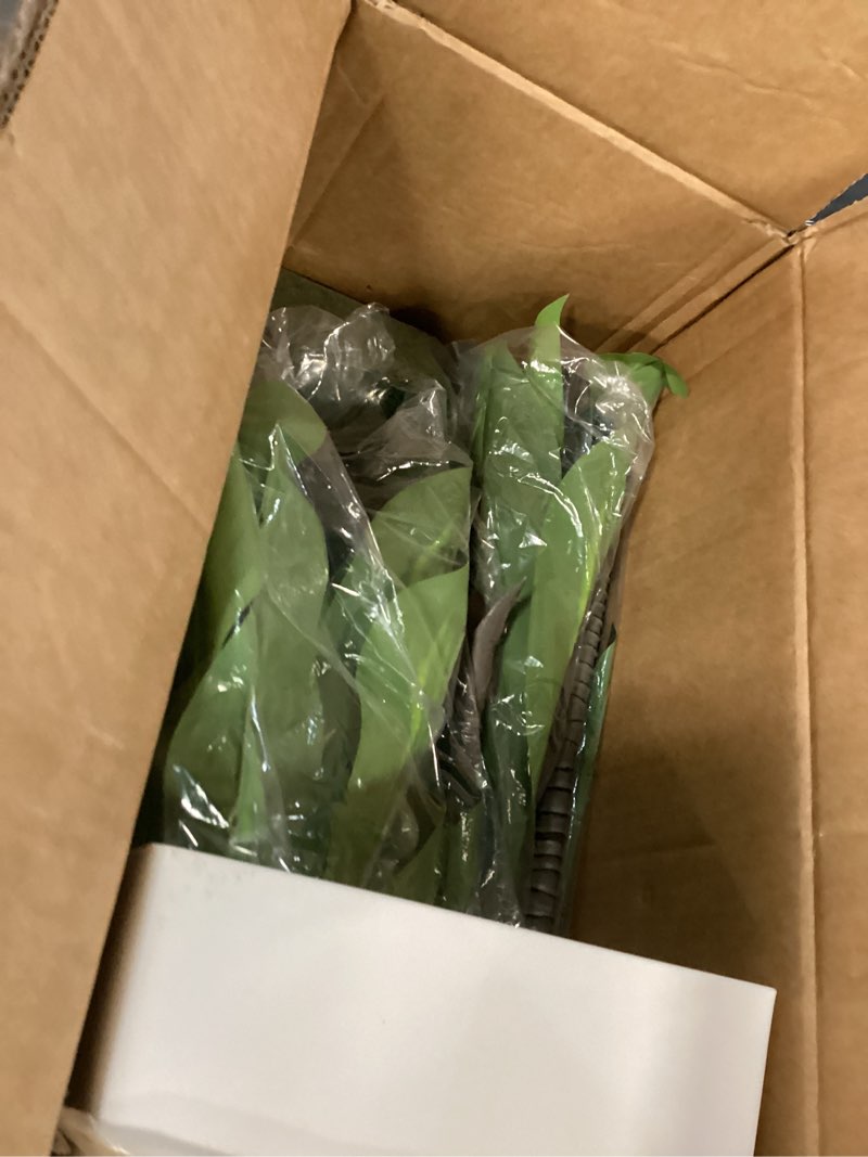 Condition photo showing Good Condition for Artificial Dracaena Plant Indoor 5FT - Fake Tree with White Tall Planter - Faux Yucca Tall Fake Floor Plant in Pot - Artificial Trees for Home Office Living Room Decor Indoor White 5ft