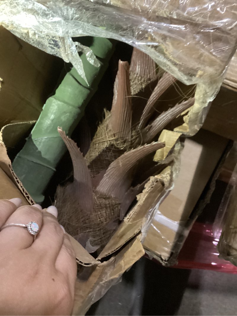 Condition photo showing Good Condition for nearly natural 6ft. cycas artificial tree, uv resistant (indoor/outdoor)