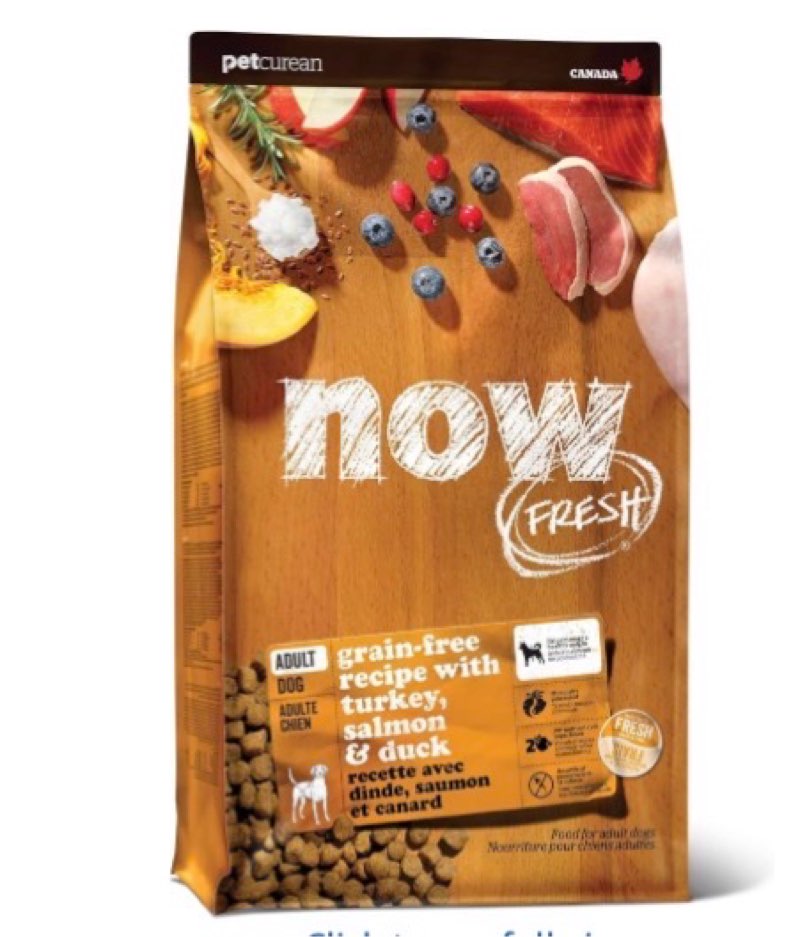 (BB:2025/ 12) Now Fresh Grain-Free, Dry Dog Food, Real Meat and Fish, Turkey, Salmon and Duck Adult Recipe, All Br
