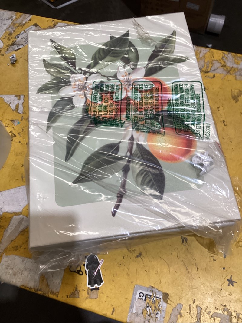 Condition photo showing Good Condition for lhhjdio 3 piece vintage fruit canvas wall art trendy kitchen wall art boho orange lemon grapefruit pictures wall decor citrus botanical art prints for dining room living room 12"x16" fruit-4 framed 12x16in