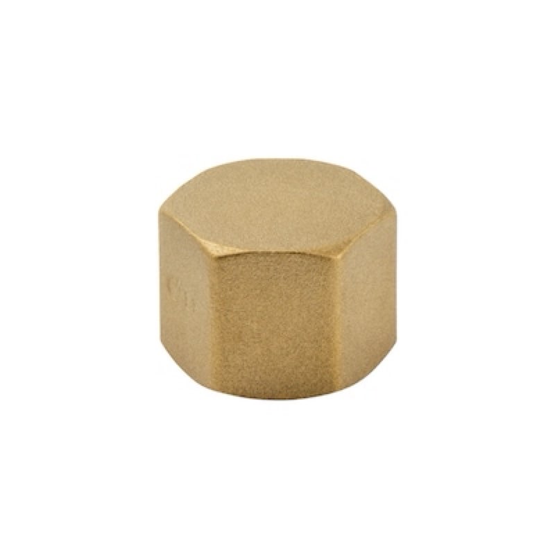 proline series brass 3/4-in female cap fitting