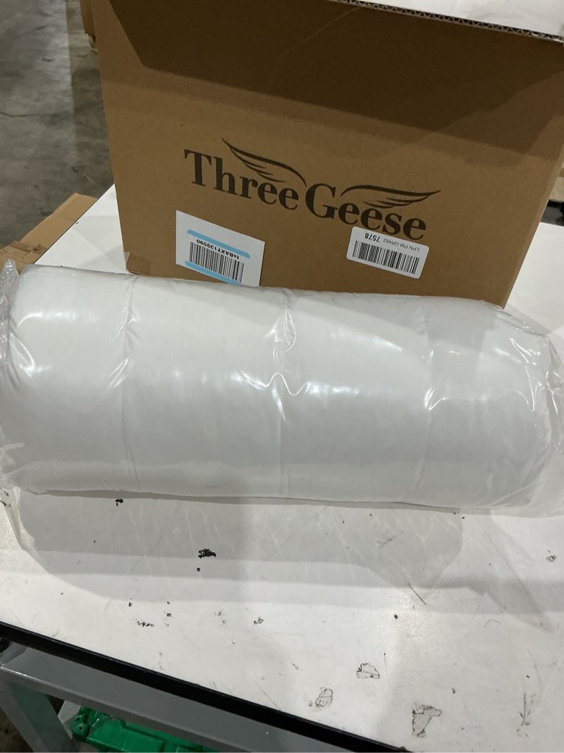 Condition photo showing Good Condition for three geese luxury thin flat goose feather down pillows king size set of 2, 2.5" height, 100% organic cotton cover, medium firm hotel collection ultra slim thin bed pillows, machine washable 18" x 36" - 2 packs solid white - 2.5 inches