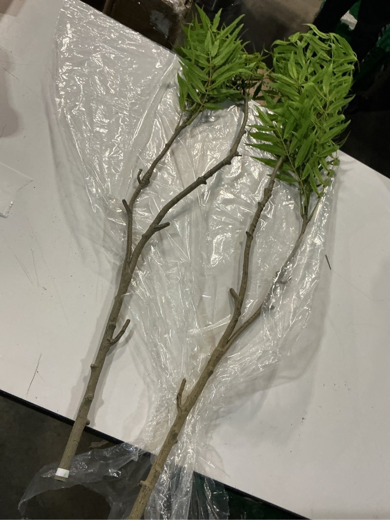Condition photo showing Good Condition for artificial plants fake plant simulation bamboo leaf tall 31 inch, faux reed plastic leaves faux greenery bushes flexible branches stems for indoor outdoor decor wedding party diy decoration - 2 pack