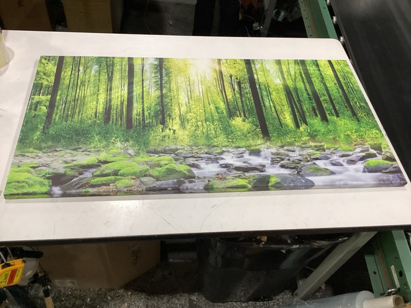 Condition photo showing New/Like New for tucai decor canvas art decor morning sunrise green trees landscape sunshine over forest photograph printed on canvas for home wall decoration wall art for living room print artwork natural picture green 40"l x 20"w