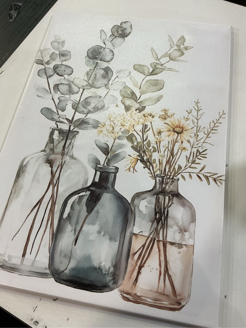 Condition photo showing Good Condition for QIXIANG Eucalyptus Sage Canvas Wall Art Green Floral Leaves Picture Prints Boho Wildflower Botanical Painting for Living Room Bathroom (white,18" L x 12" W) white 18"L x 12"W
