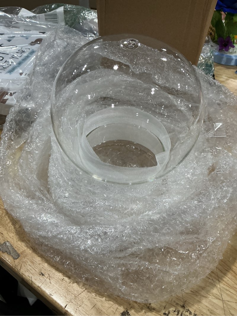 Condition photo showing New/Like New for whjy round glass cloche for indoor plants small terrarium glass cloche with base mini cloche dome with base for display home decor 6.7"