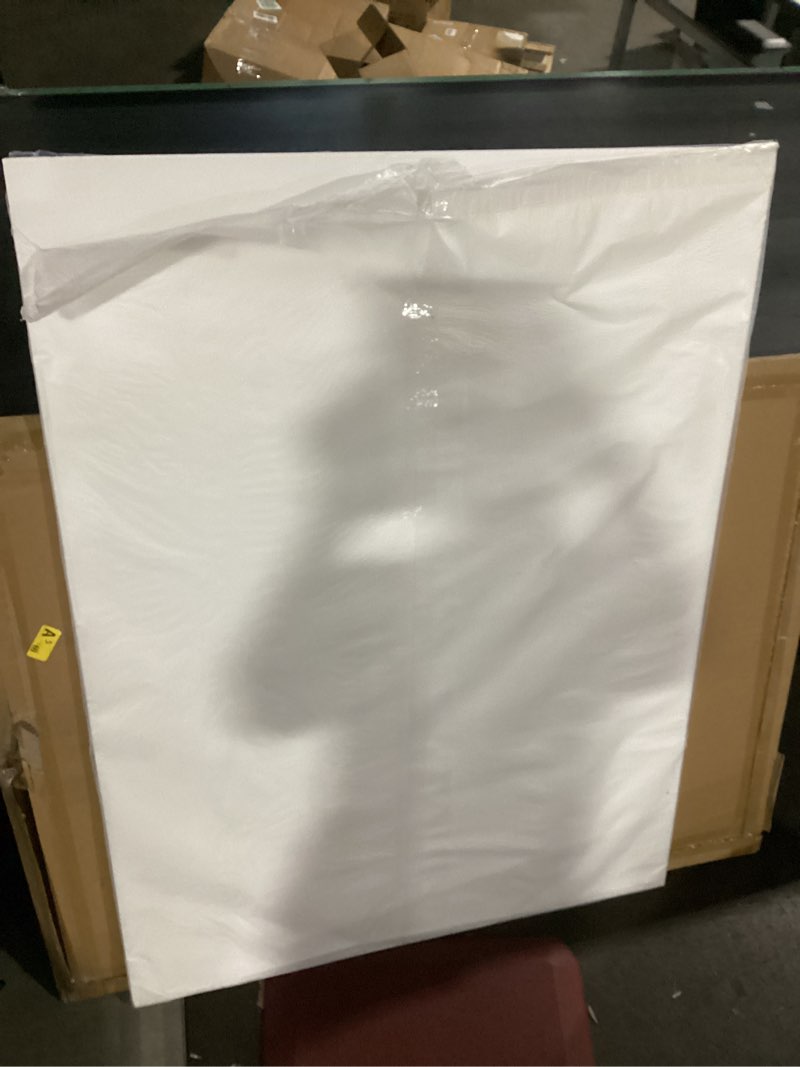 Condition photo showing New/Like New for falling in art 36x48 corrugated plastic board, 3 pack coroplast plastic sheet, 3/16 inch thick white double-sided blank poster board for indoor and outdoor use white 36*48