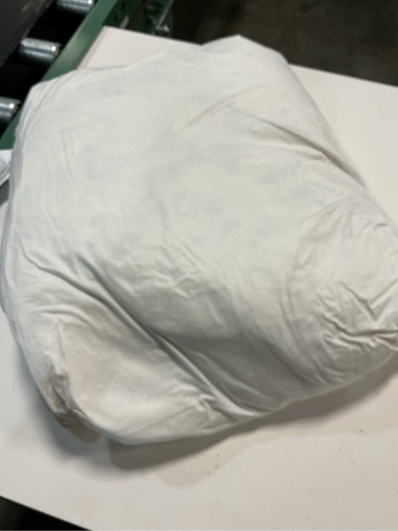 Condition photo showing As Is for premium feather pillow insert (set of 1), 20x20, no color