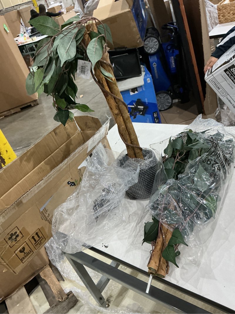 Condition photo showing Good Condition for nearly natural 4ft triple trunk ficus silk tree with natural wood trunks and dense foliage, mid-size faux floor plant for home and office 4ft tree in pot