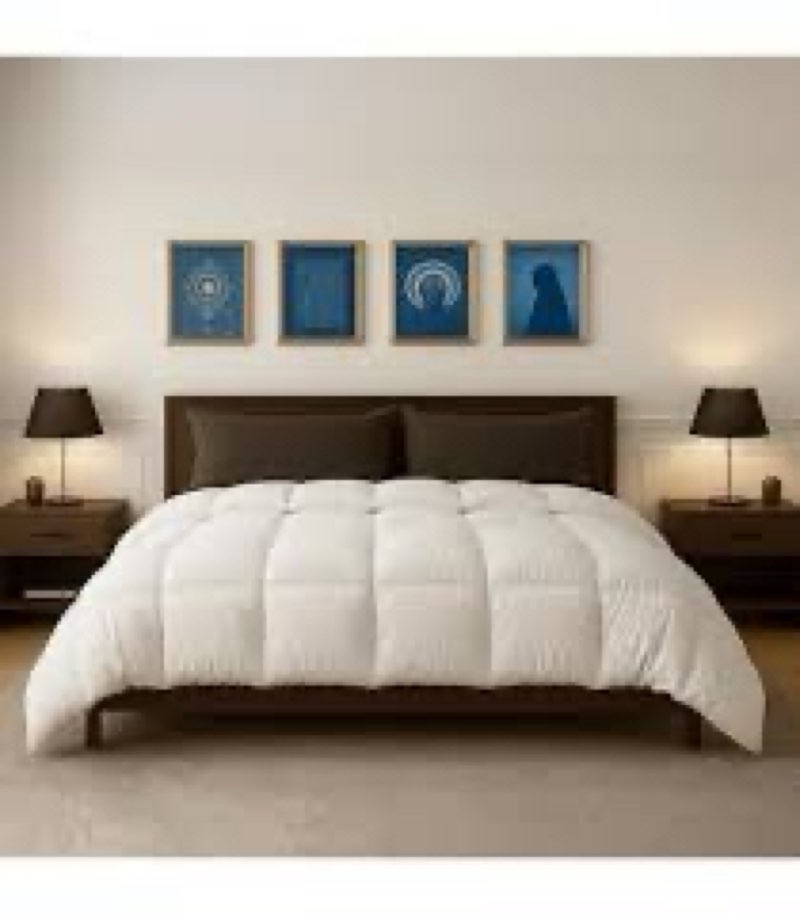 Cottingon 1 PC Twin 68" x 90" Comforter, Premium Brushed Microfiber 300 GSM, Box Stitched Down Alter