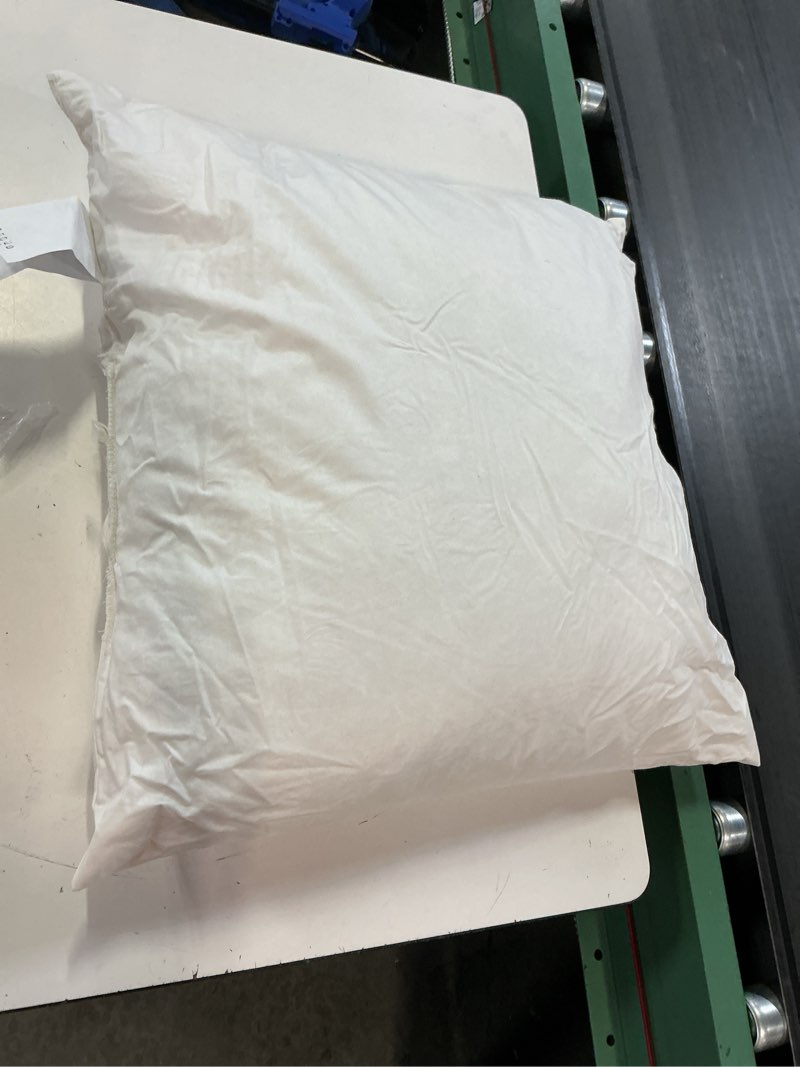 Condition photo showing As Is for premium feather pillow insert, 22x22, no color