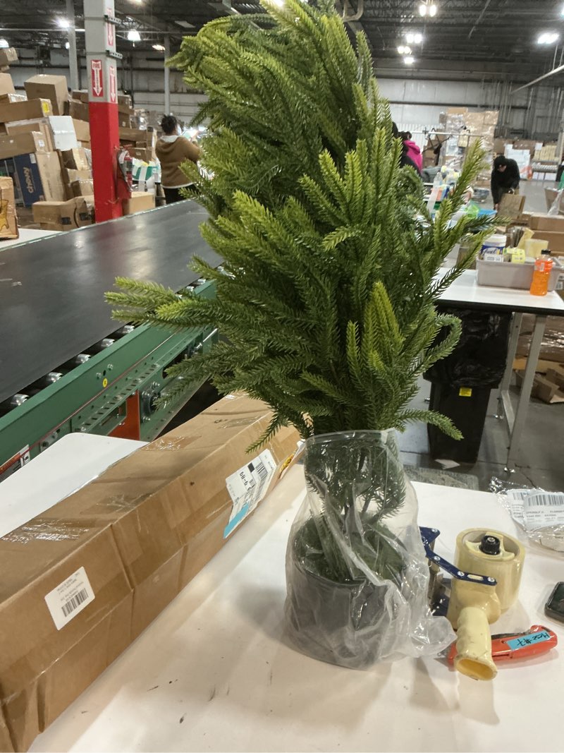 Condition photo showing Good Condition for N&T NIETING Norfolk Pine Christmas Tree Real Touch Artificial Greenery Christmas Tree with Pot, Norfolk Pine Tree for Front Porch Living Room Office Home Indoor Outdoor Decoration(4FT-1Pack)