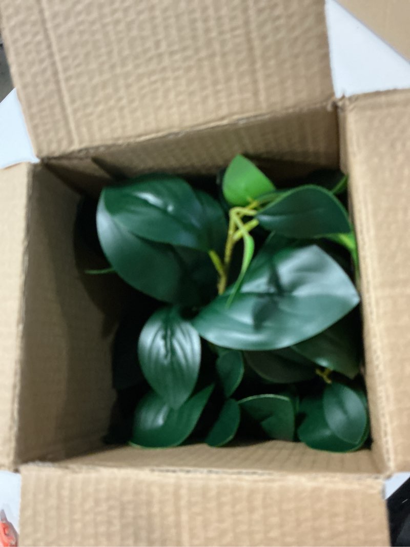 Condition photo showing Good Condition for alphaacc artificial succulents plants decor greenery fake succulents indoor potted fake plant with rustic black clay planter for farmhouse room bathroom bedroom kitchen office dese coffee table decor 12.8" h