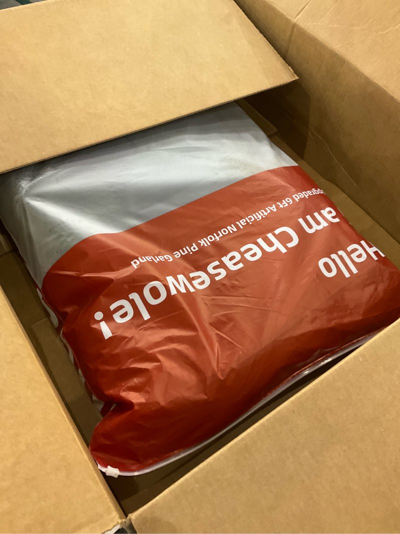 Premium 30% Fuller 2Pack 6 Ft Artificial Norfolk Pine Garland, Real Touch Winter Pine Garland, for S