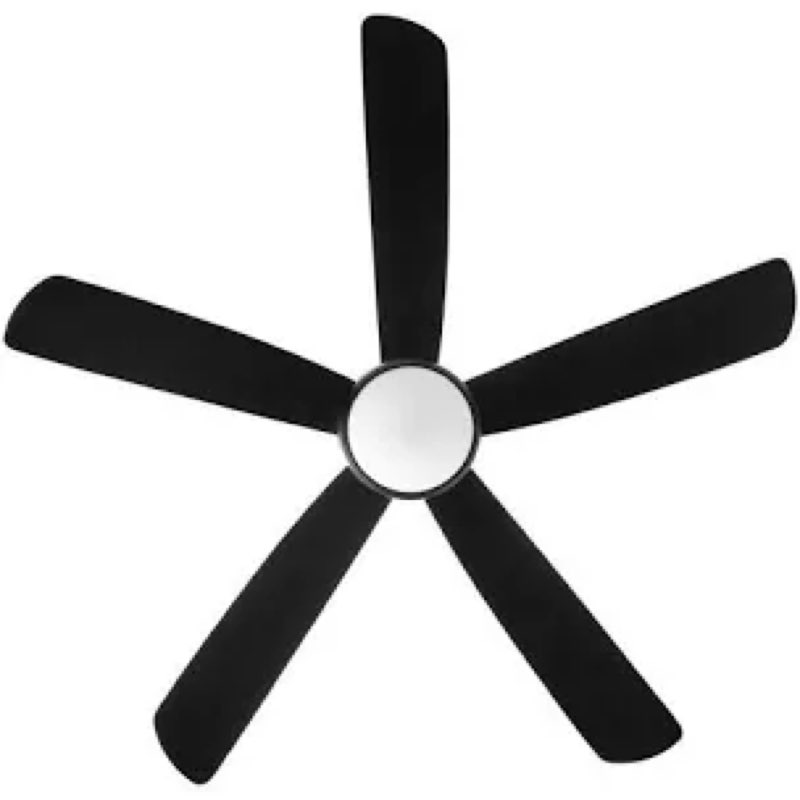 ceiling fan