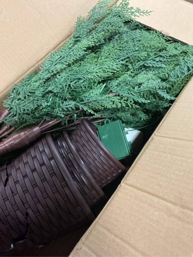 Condition photo showing Good Condition for Set of 3 2ft 3ft 4ft Pre-lit Twinkle Christmas Norfolk Pine Tree with 175 LED Light Realistic Artificial Trees with Woven Basket Base Xmas Holiday Decor for Indoor Living Room Home (Norfolk Pine Tree)