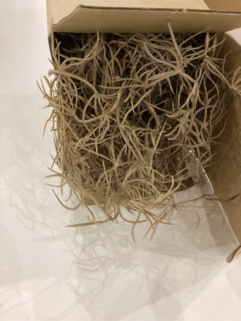 giegxin halloween spanish moss 41" succulents faux moss artificial succulent plants fake vines hangi