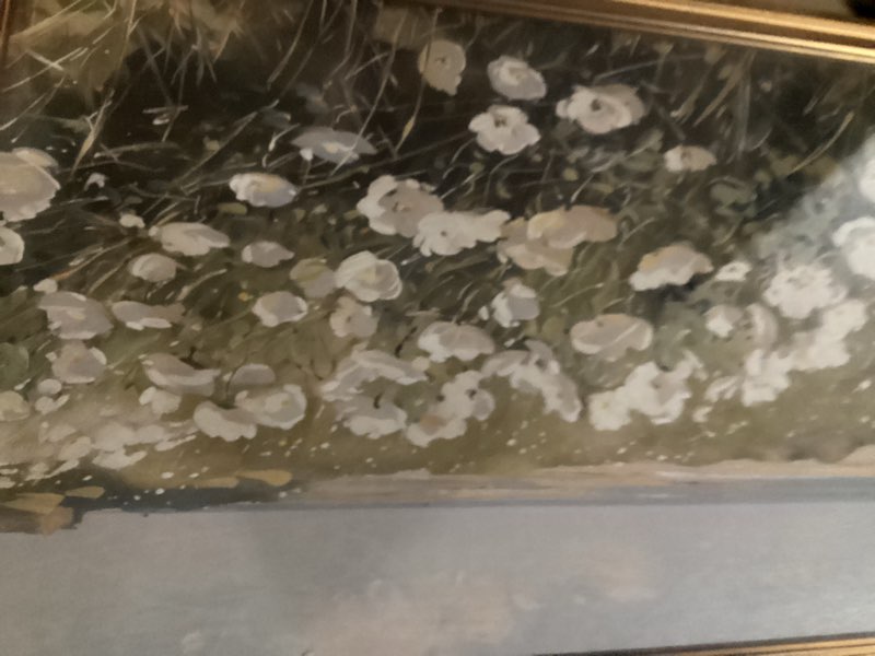 Condition photo showing New/Like New for Gold Framed Wall Art Vintage Wildflower Canvas Art Farmhouse Floral Picture White Flower Wall Decor Antique Prints Rustic Paintings Landscape Artwork for Bedroom Living Room 8x10 Inch White wildflowers Framed 8"x10"