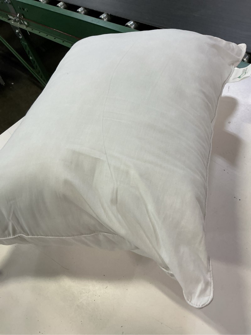 Condition photo showing As Is for 1 pack digital decor 100% cotton luxury hotel pillows king size set of 2, cooling down alternative bed pillows for sleeping, hypoallergenic soft supportive pillows for side & back, made in usa, 36\\\" x 20\\\" silver / soft king (pack of 1)