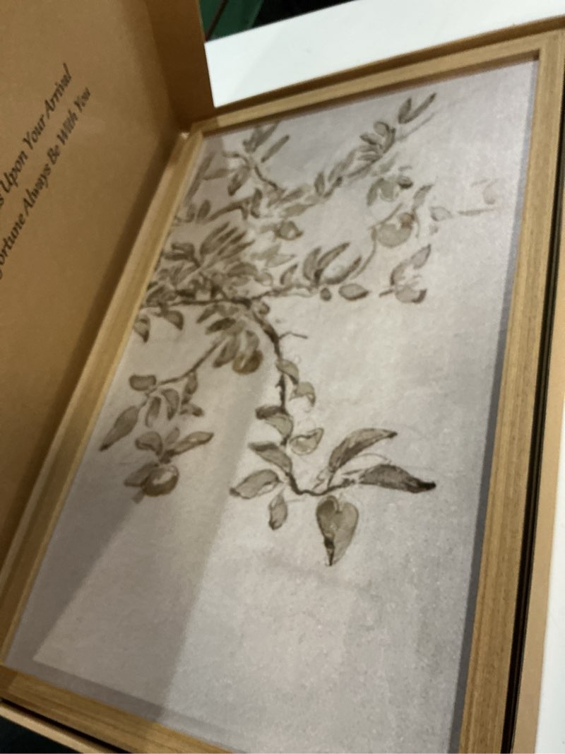 Condition photo showing Good Condition for vintage apple tree canvas wall art set of 3 rustic botanical poster prints with wooden frame neutral tree branch picture painting country farmhouse wall decor for living room bedroom kitchen16x24inches apple tree branches 16x24 inches