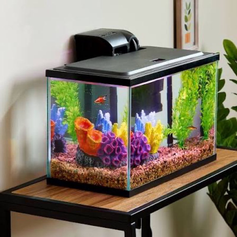 vibrant life 5 gallon aquarium starter kit with blue & white led lights