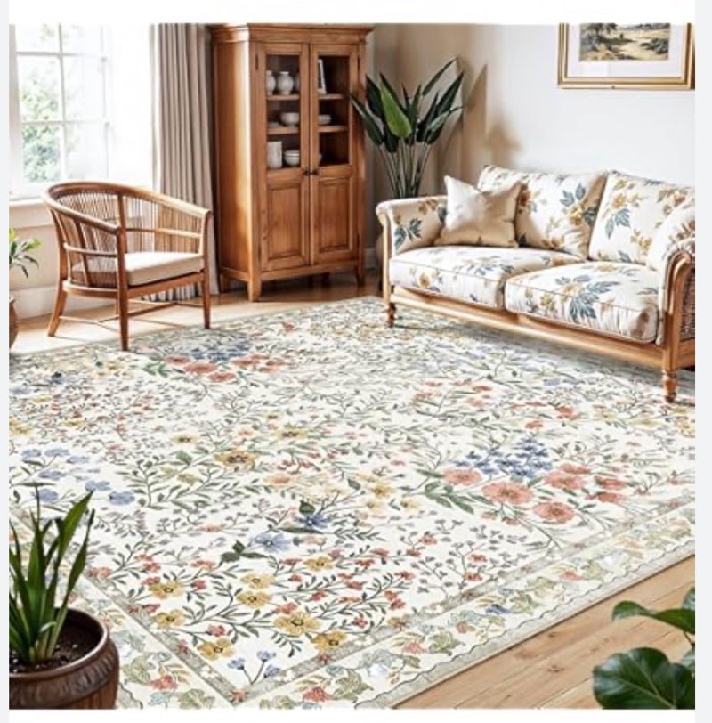 indoor area rug 
