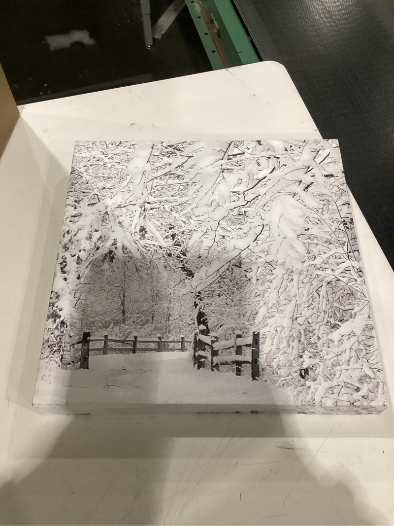 Condition photo showing New/Like New for Wrapped Canvas Wall Art - Incredi 'Winter Wonderland White' Wall Art for Living Room, Bedroom, or Office Décor - 14x14
