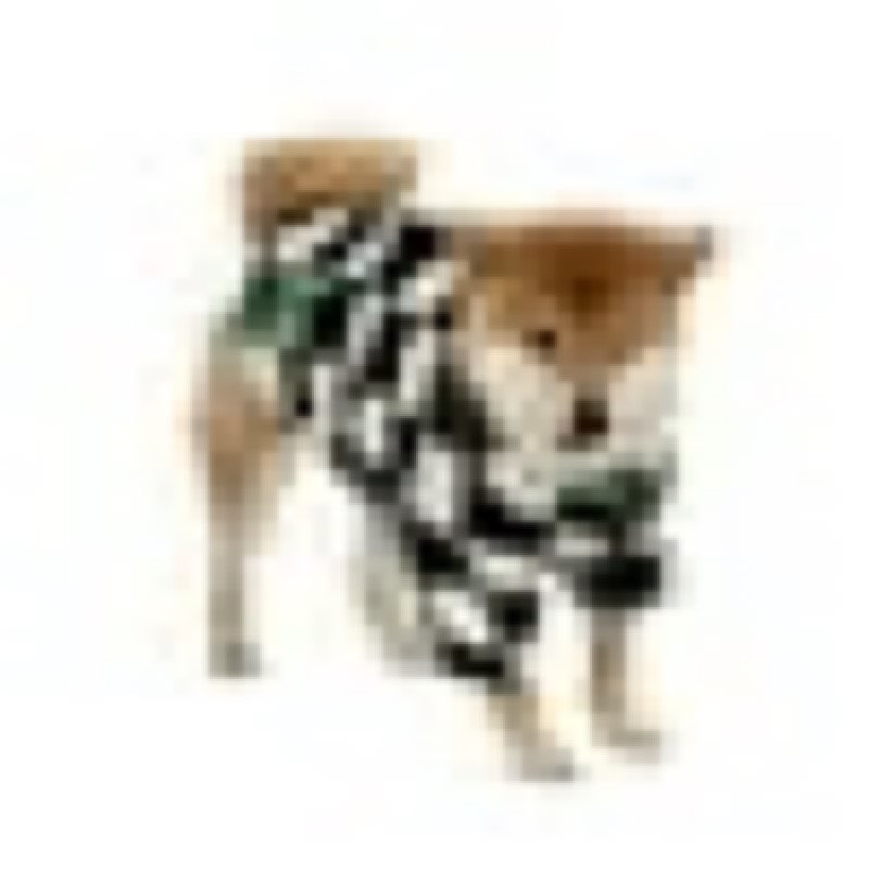 Oodles Multicolored Sherpa Bubble Hem Fall Dog Jacket, XS