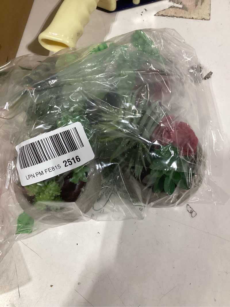 Condition photo showing Good Condition for Succulents Plants Artificial 4 Pack, Mini Fake Succulents in Pots, Assorted Small Faux Succulent Decorative for Living Room Home Office Decor Type2