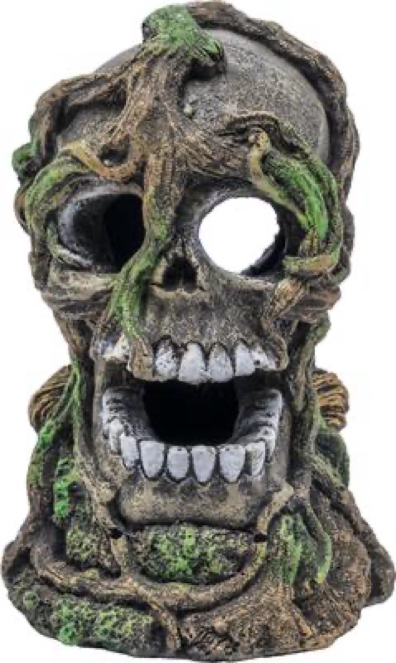 Glofish Cycle XL Skull