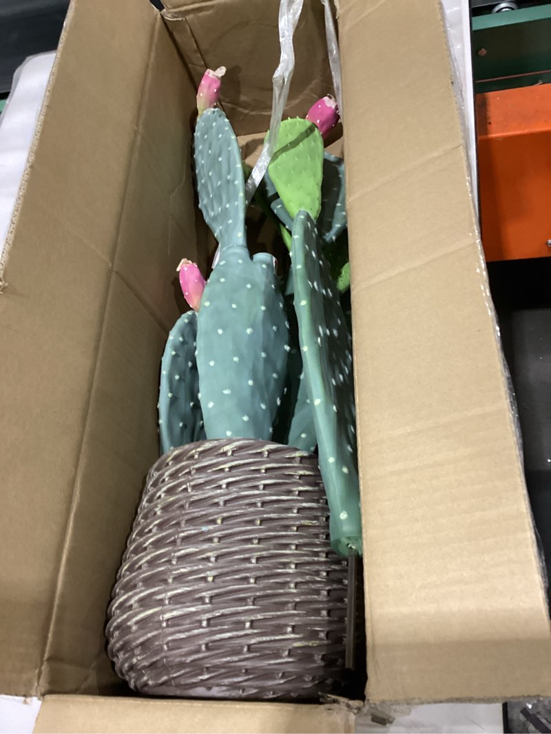 Condition photo showing Good Condition for Nafresh UV-Resistant Tall Faux Cactus in Brown Woven Planter,41" Fake Plant with Realistic Pads & Vibrant Fruits,Artificial Cactus Indoor Outdoor for Home Office Living Room Bedroom Foyer Porch Decor 41in