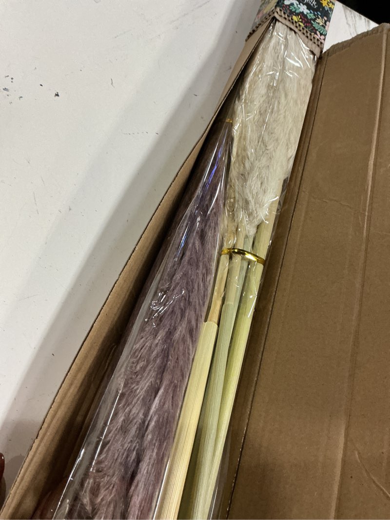 Condition photo showing New/Like New for decorative tall pampas grass for floor vase – premium large pampas grass decor tall, 17"-40" pampas grass stems, dried pampas grass decor tall, natural pampas grass with beige decor and boho feathers