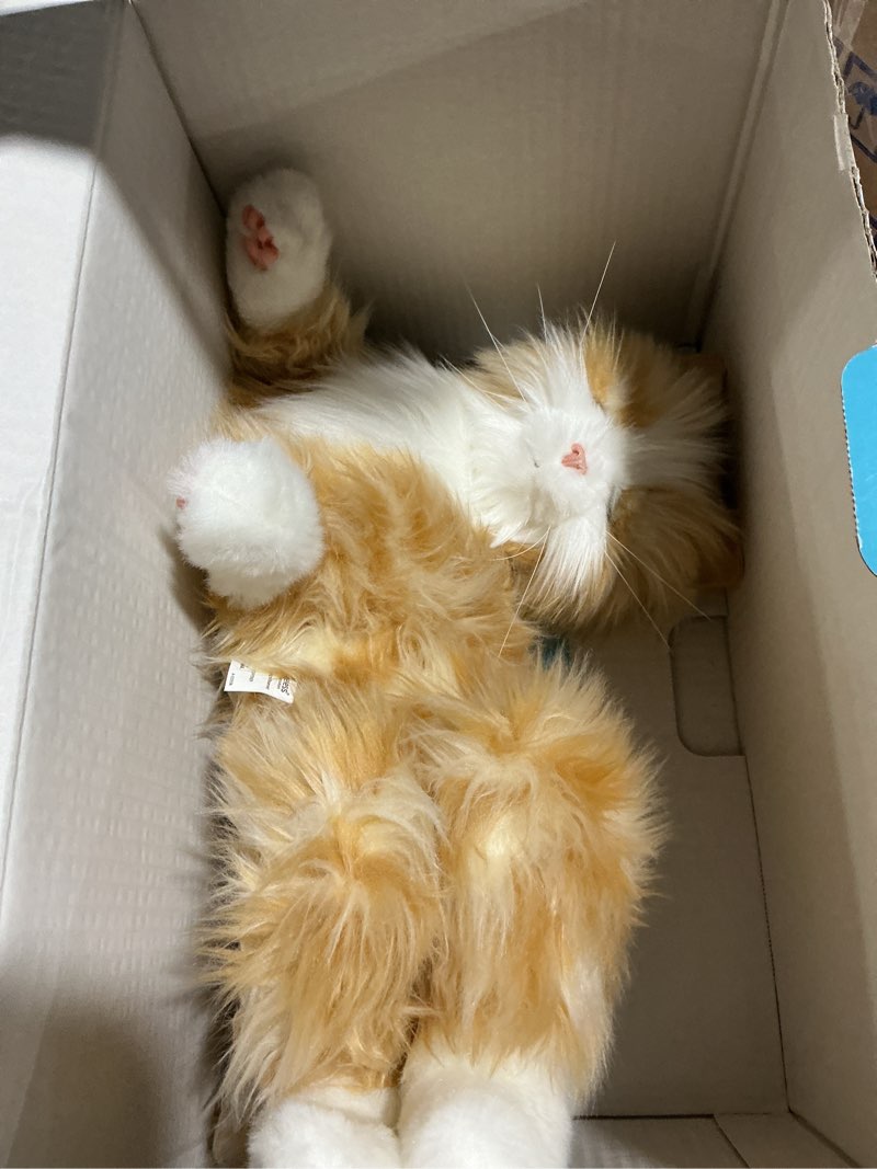 Condition photo showing Good Condition for JOY FOR ALL Companion Pet for Seniors - Lifelike Animatronic Cat - Realistic Soft-Touch Fur & Purring - Therapy Stuffed Animal - Toy for Alzheimer's & Dementia - Orange Tabby Orange Tabby Cat