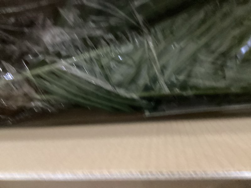 Condition photo showing Good Condition for 6ft artificial coconut palm tree, 1 pack, uv resistant faux sago palm plant for indoor outdoor, realistic large tropical decor for home office patio poolside garden, ready to use in cement pot 6ft 6ft - 1 pack