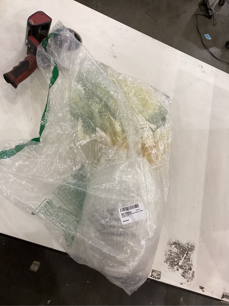 Condition photo showing New/Like New for Elements Artificial Dried Flowers in White Ceramic Vase White Dried Flowers