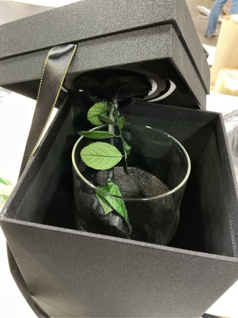 Condition photo showing Good Condition for Preserved Roses Black Roses Handmade Real Rose in Glass Dome, Preserved Roses Never Withered Romanti