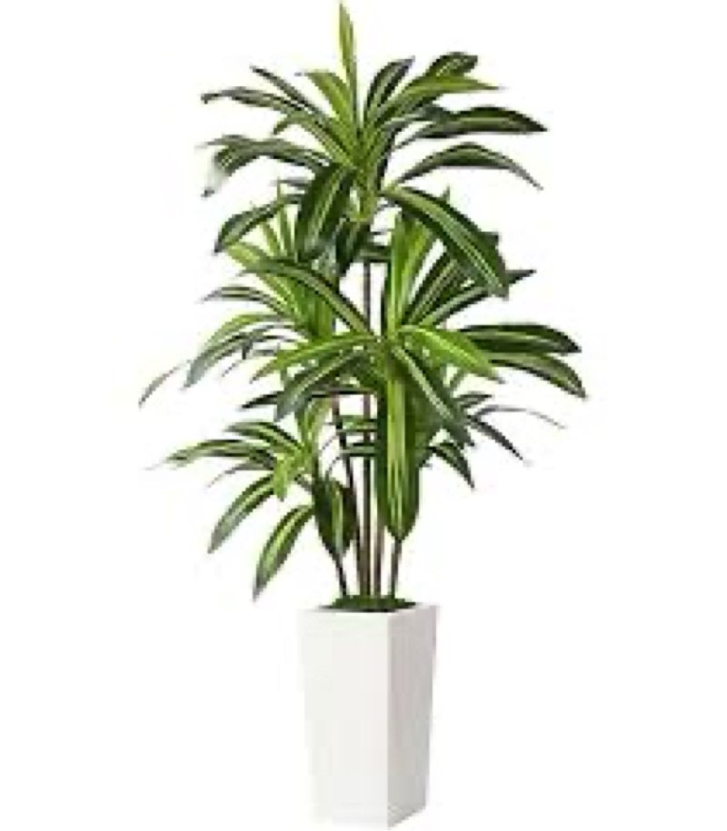 Alupssuc Artificial Dracaena Fake Tree 5FT, White High Pot Artificial Plants Indoor&Outdoor, Fake Pl