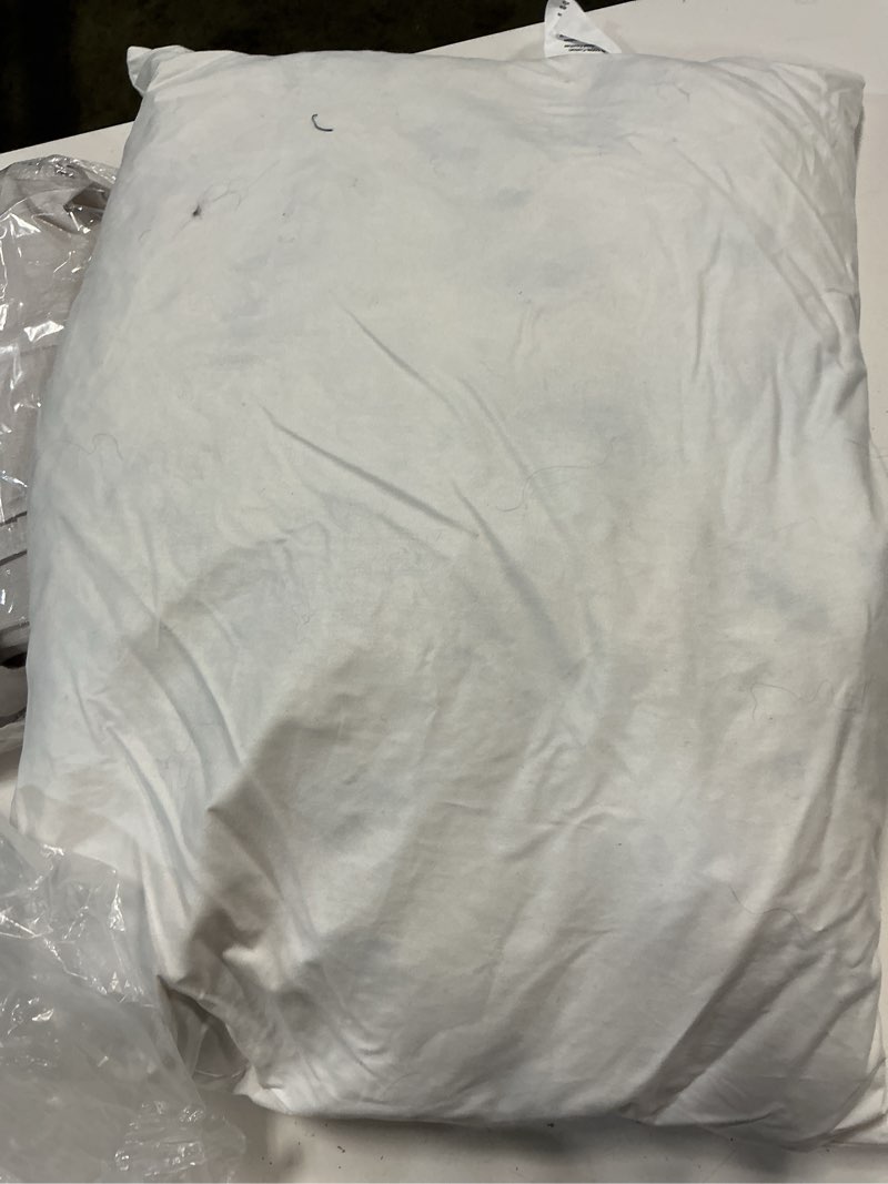 Condition photo showing As Is for premium feather pillow insert (set of 1), 12x20, no color